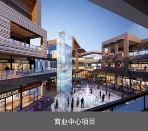 智能兩柱雙層立體車庫商業中心項目