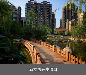 智能兩柱雙層立體車庫新樓盤開發項目